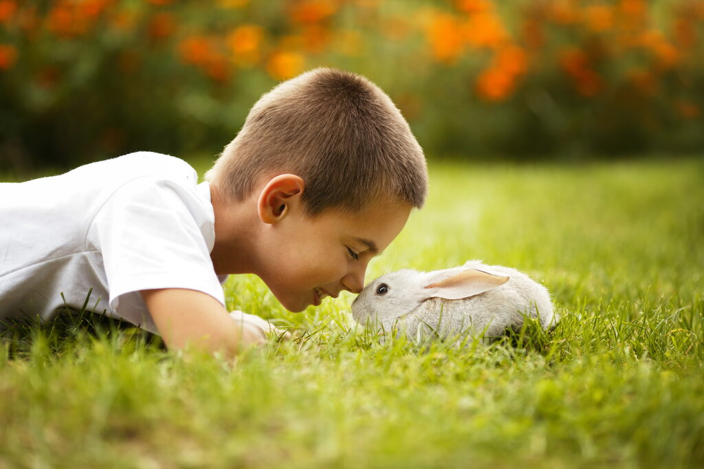 Любящие отношения к ребенку. Дети и природа. Человек и природа. Кролик мальчик. Любовь к природе.