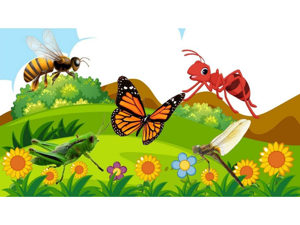 Познавательное развитие тема насекомые. Насекомые 3 лета. Рисунки насекомые веселятся для детей. Насекомые 3 года. Веселая насекомые на день защиты детей.